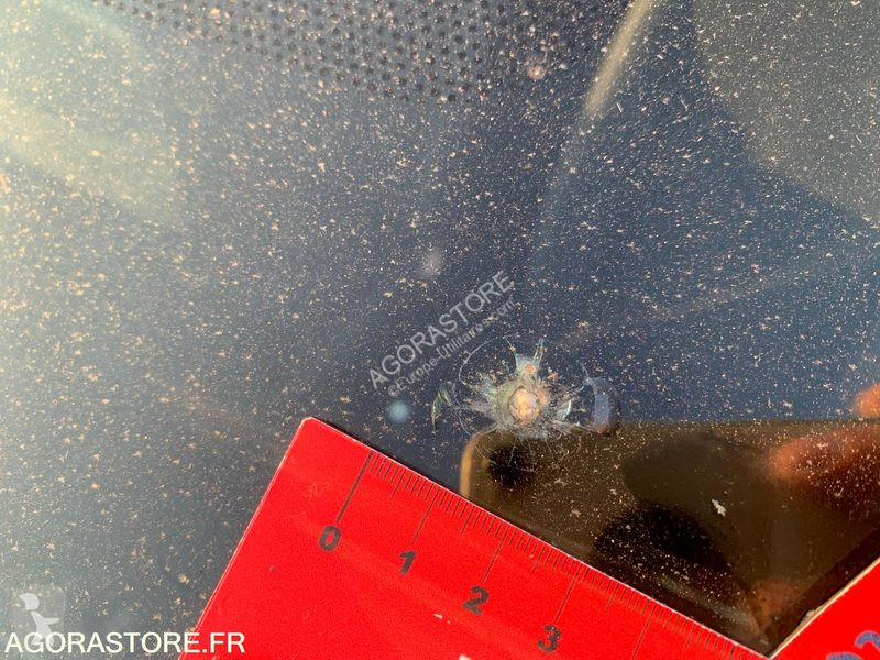Véhicule utilitaire Renault CLIO