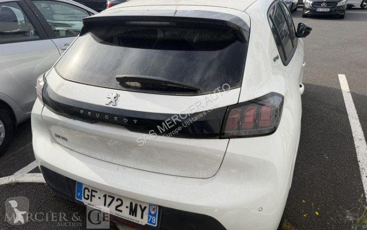 عربة نفعية Peugeot