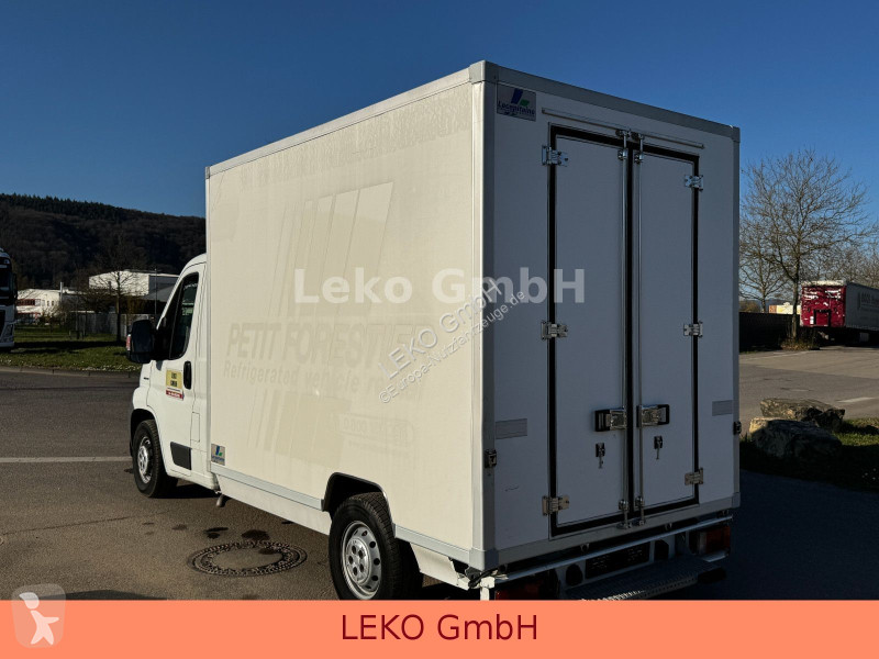 Samochód dostawczy Fiat Mit Thermoking V-500...