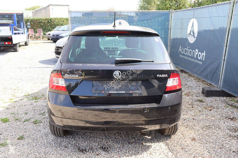Furgoneta Skoda
