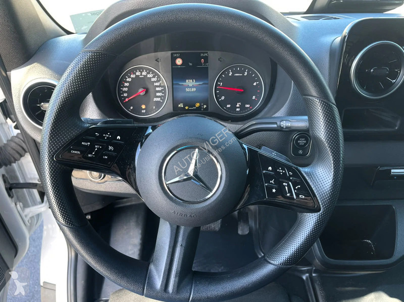 Véhicule utilitaire Mercedes 317...