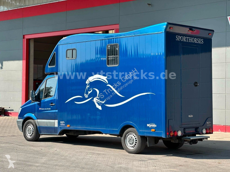 عربة نفعية Mercedes 319 CDi KHG Mystic...