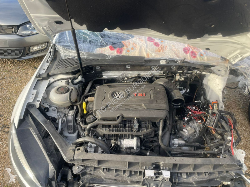 Véhicule utilitaire Volkswagen VII 2.0 GTi 245...