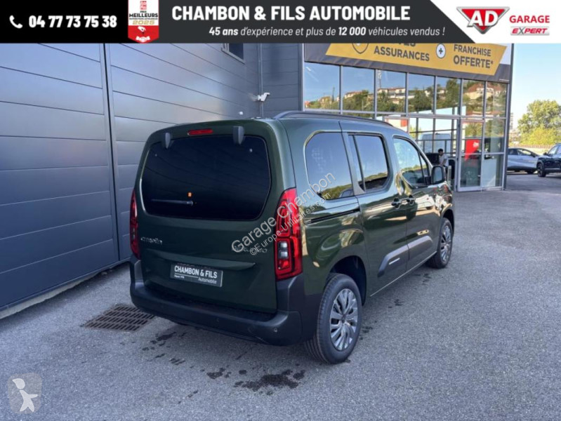 Diesel 130 ch M Automatique Max sans malus van
