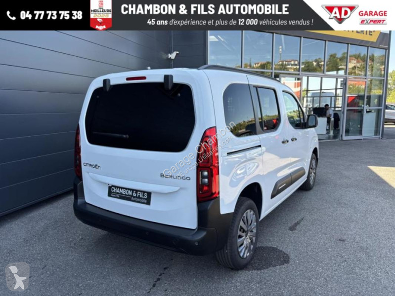 Diesel 130 ch M Automatique Max sans malus van