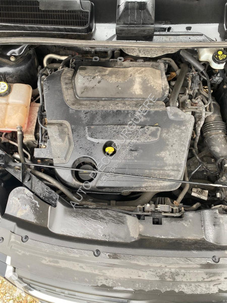 Véhicule utilitaire Ford 2.0 TDCi 163 BVA 4X4 /...