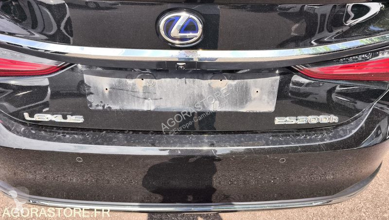 Véhicule utilitaire Lexus ES300H