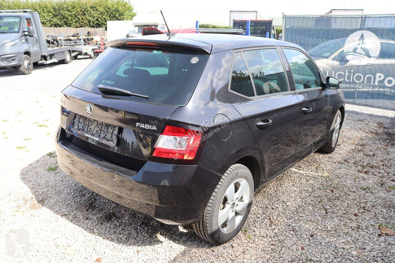 Furgoneta Skoda