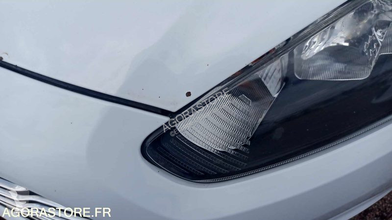 Veículo utilitário Ford FIESTA