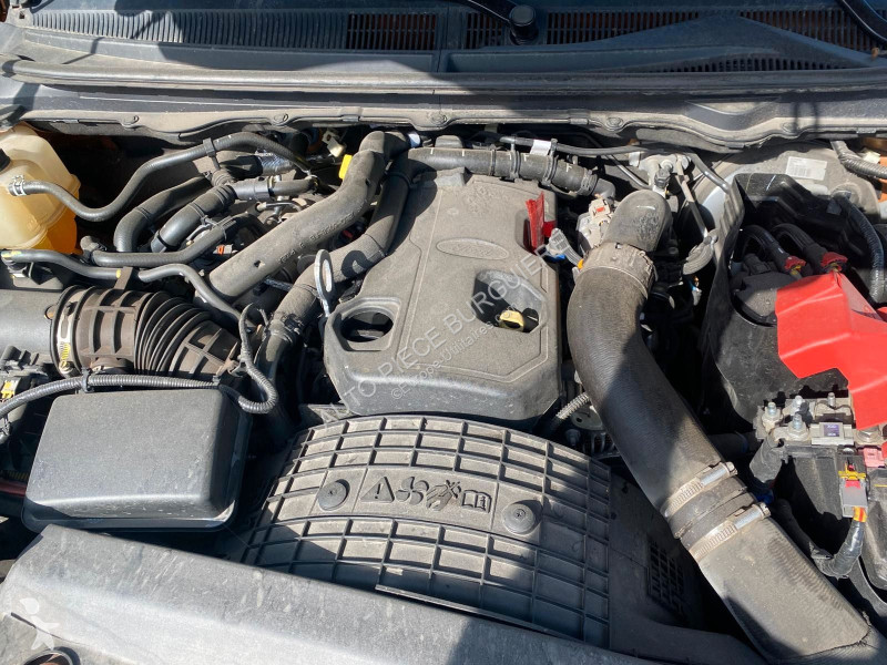 Véhicule utilitaire Ford 2.0 Ecoblue TDCi 213...