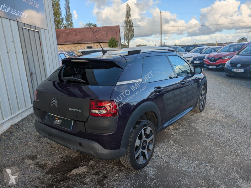 Citroën C4 CACTUS SHINE 1.6 BlueHDi 100CH van
