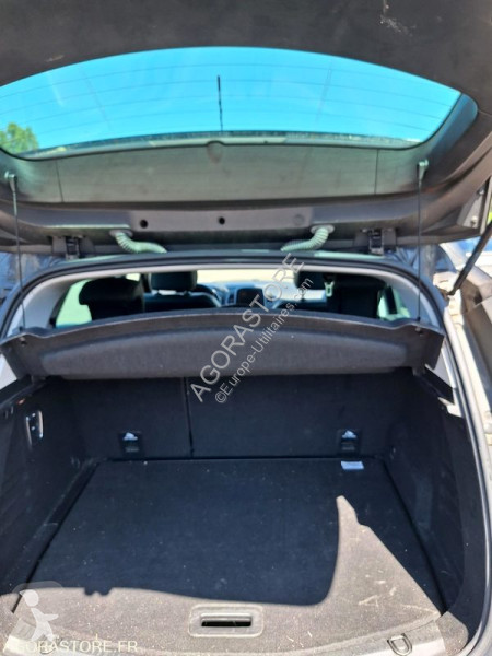 Véhicule utilitaire Renault SCENIC
