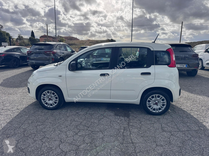 Samochód dostawczy Fiat