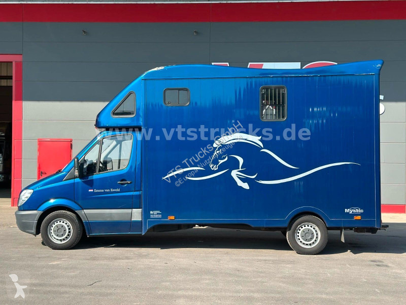 عربة نفعية Mercedes 319 CDi KHG Mystic...