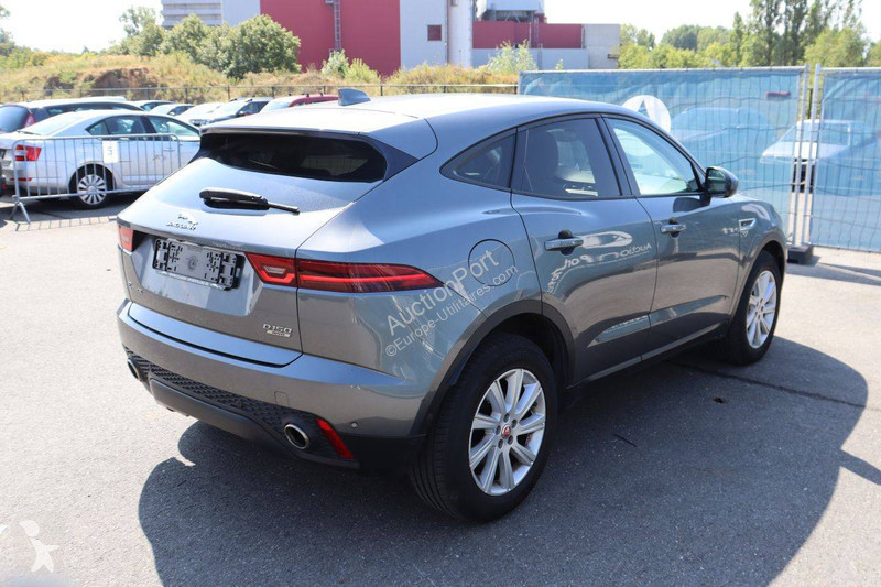 Jaguar  Transporter