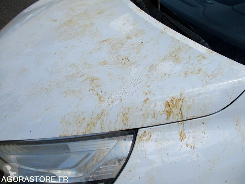 Nyttofordon Renault CLIO