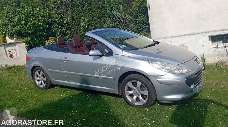 Véhicule utilitaire Peugeot 307
