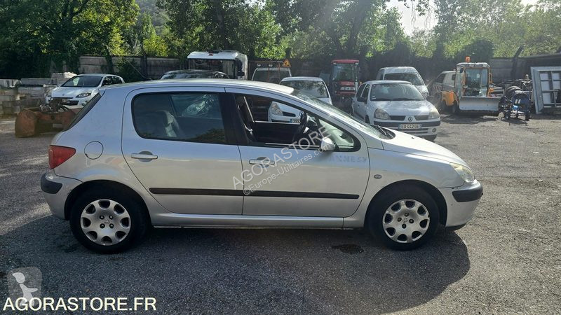 Furgoneta Peugeot 307
