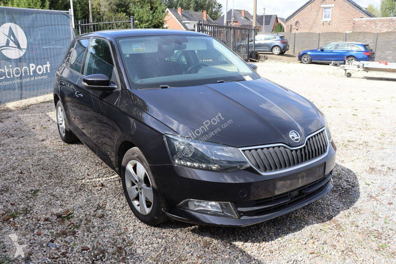Furgoneta Skoda