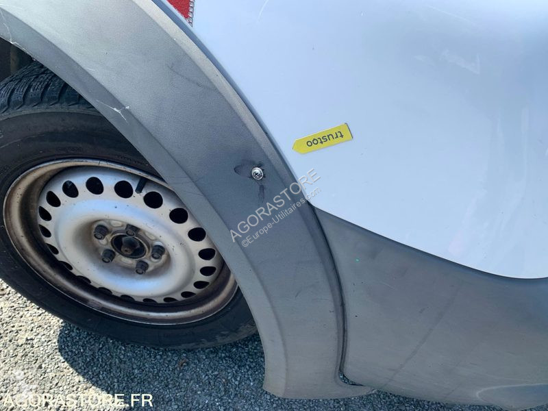 Véhicule utilitaire Ford T.CONNECT