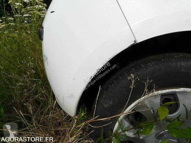 Véhicule utilitaire Renault CLIO
