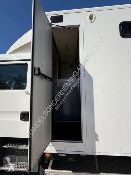 عربة نفعية MAN TGL 12.180 PAARDENWAGEN. TGL 12.180