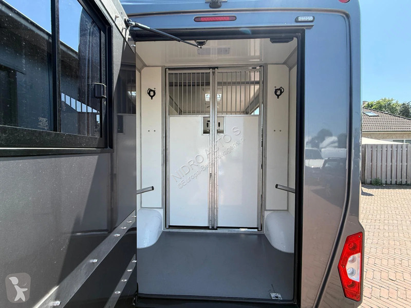 Renault STX S3 Paardenwagen Hengsten uitvoering...