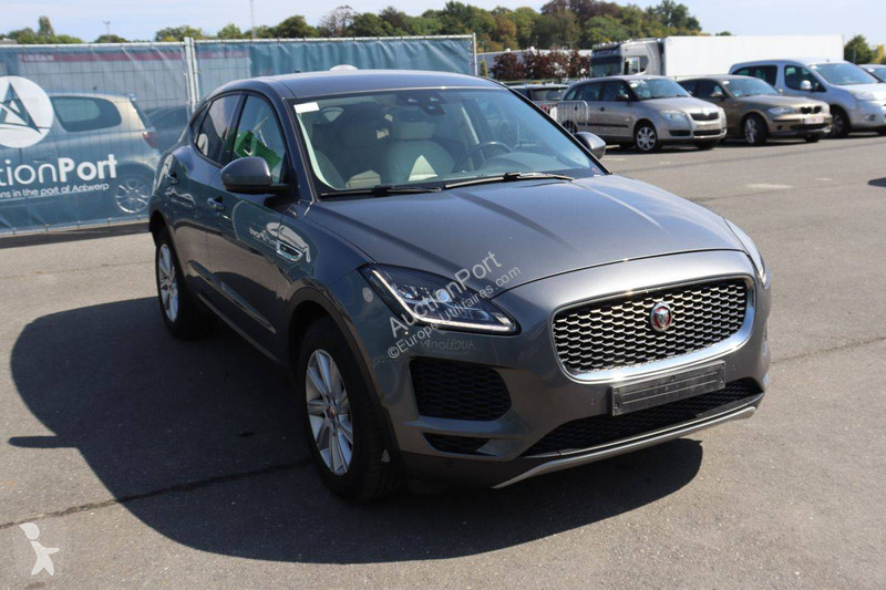 Jaguar  Transporter