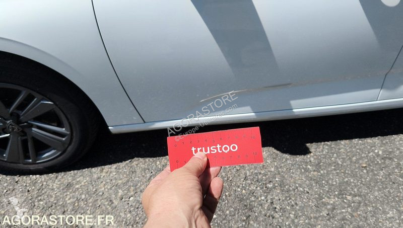 Nyttofordon Peugeot 308