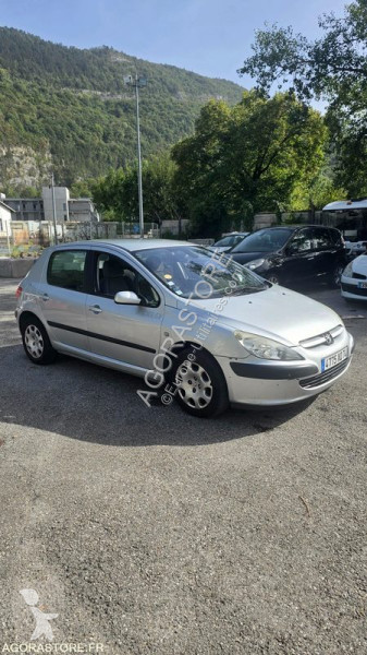 Furgoneta Peugeot 307