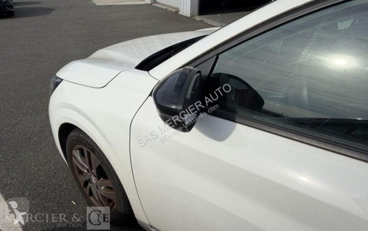 عربة نفعية Peugeot