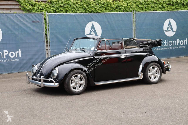 Véhicule utilitaire Volkswagen  Beetle