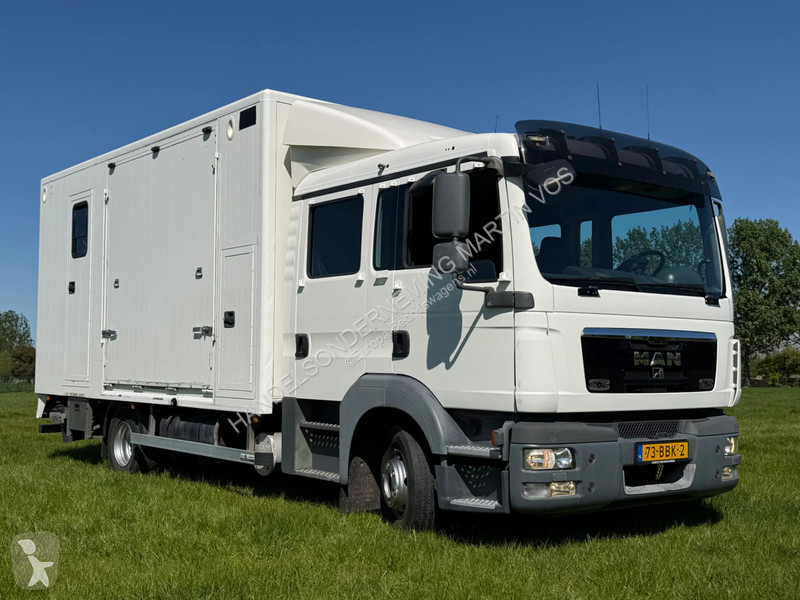 عربة نفعية MAN TGL 12.180 PAARDENWAGEN. TGL 12.180