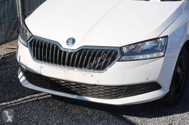 Furgoneta Skoda