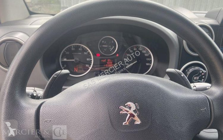 Furgoneta Peugeot