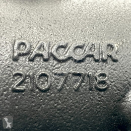 Thermostat DAF
