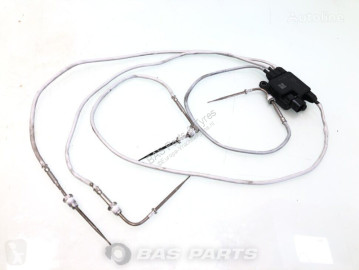 DAF