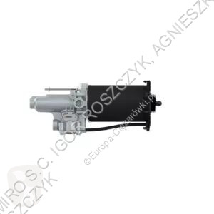 ZF