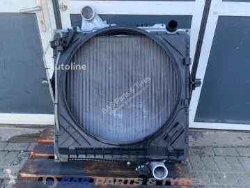 Radiatore raffreddamento motore Renault