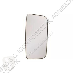 New DAF moveable step / doorpost