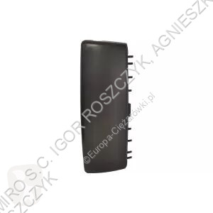 New DAF moveable step / doorpost