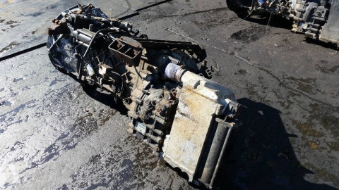 ZF