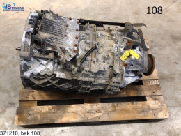 ZF