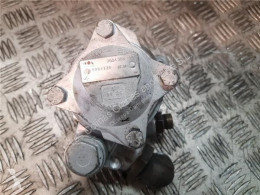 ZF