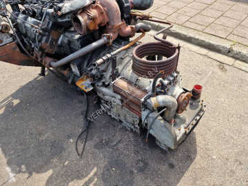 ZF