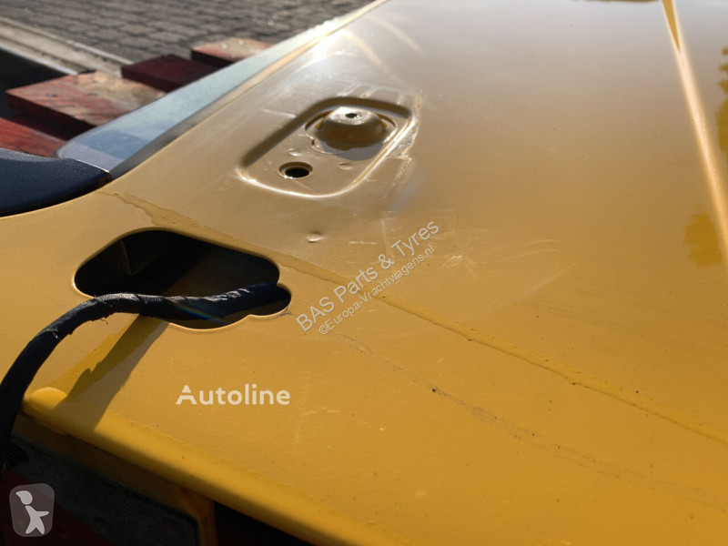 Vrachtwagenonderdelen DAF Porte pour camion