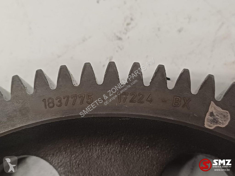 Peças pesados DAF Occ nokkenastandwiel MX13 DAF