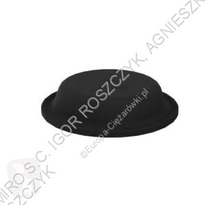 Náhradní díly pro kamiony  DIAPHRAGME...