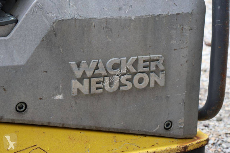 Compacteur Neuson 1D81S