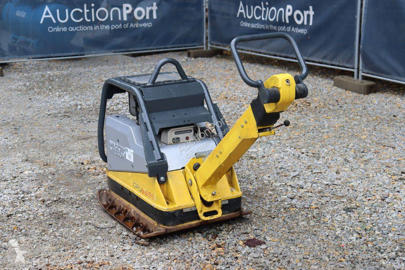 Compacteur Neuson 1D81S